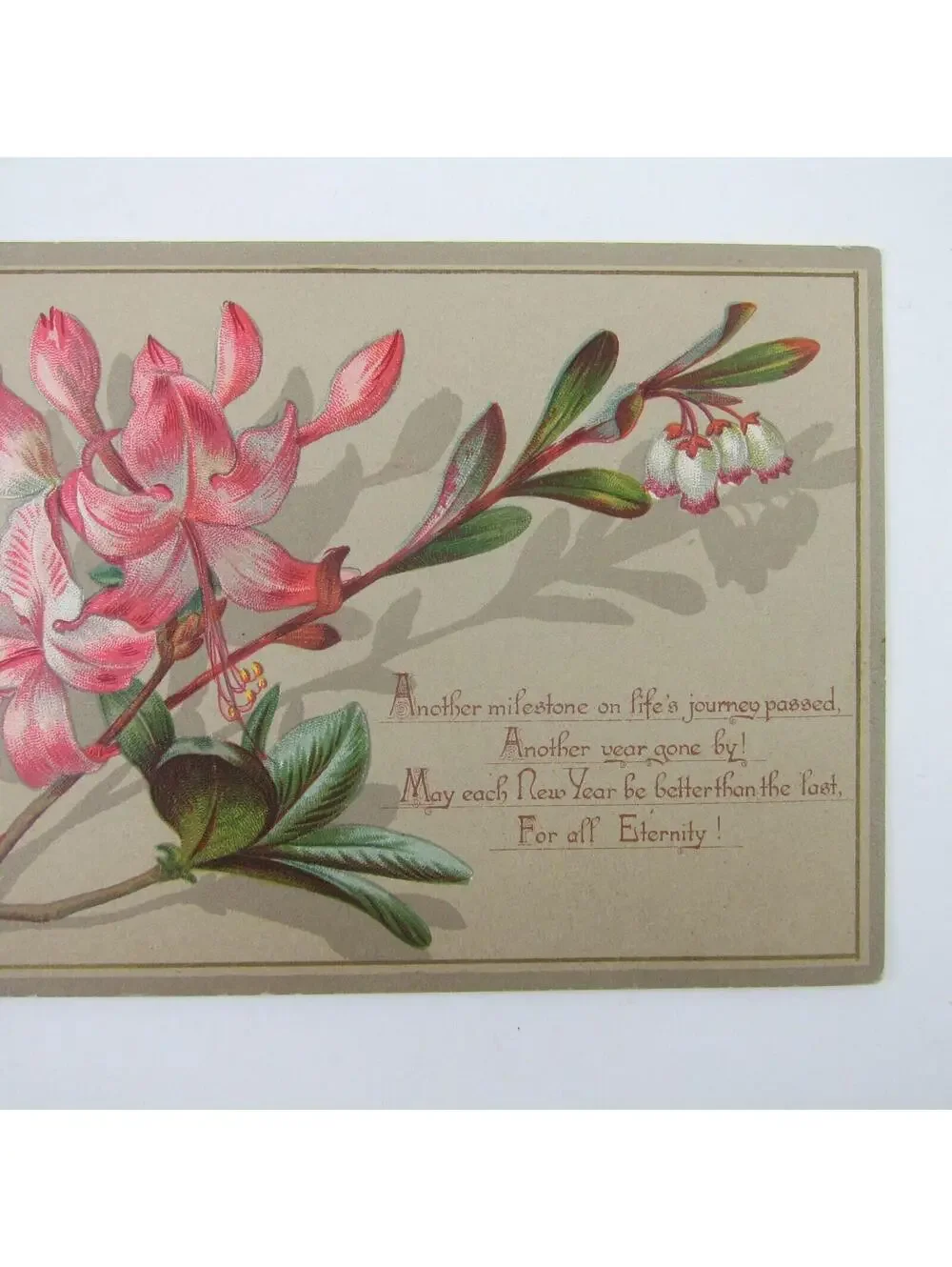 Victorian Greeting Card New Years White & Pink Azalea Flowers Branch Antique